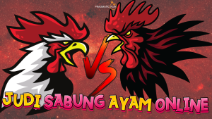 judi sabung ayam online